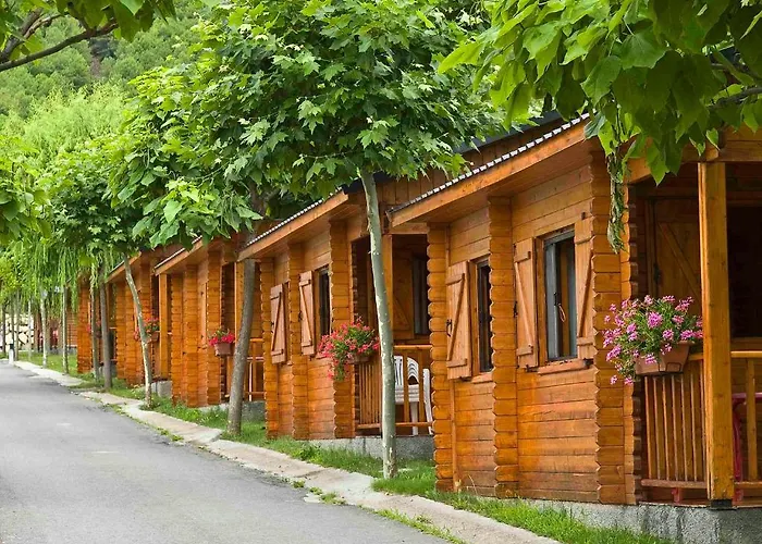 Camping Valle De Tena Sabiñánigo